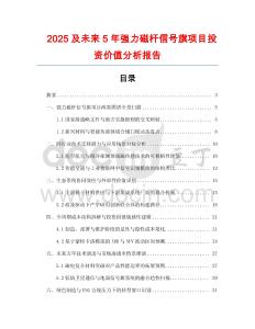 2025及未來5年強(qiáng)力磁桿信號旗項(xiàng)目投資價值分析報告