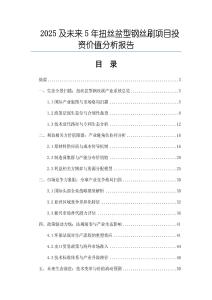 2025及未來5年扭絲盆型鋼絲刷項目投資價值分析報告