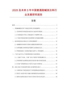 2025及未來5年中國普通耐堿澆注料行業發展研究報告