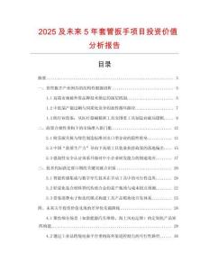 2025及未來5年套管扳手項(xiàng)目投資價(jià)值分析報(bào)告