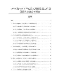 2025及未來5年應變式無側限壓力儀項目投資價值分析報告