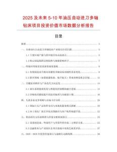 2025及未來5-10年油壓自動進刀多軸鉆床項目投資價值市場數據分析報告