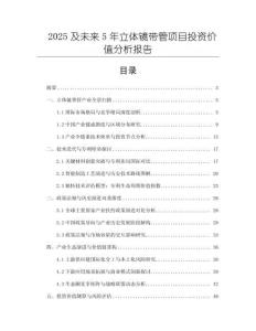 2025及未來5年立體鏡帶管項目投資價值分析報告