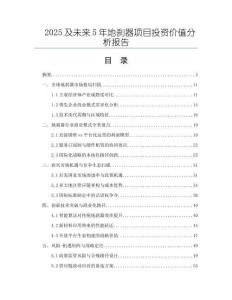 2025及未來5年地剎器項目投資價值分析報告