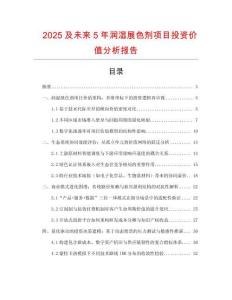 2025及未來5年潤濕展色劑項目投資價值分析報告