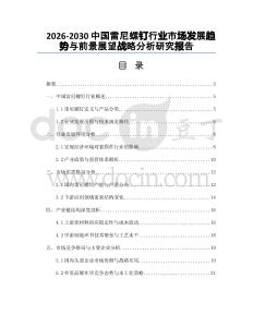 2026-2030中國雷尼螺釘行業(yè)市場發(fā)展趨勢與前景展望戰(zhàn)略分析研究報告