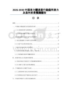 2026-2030中國液力緩速器行業(yè)應(yīng)用潛力及盈利前景預(yù)測報告