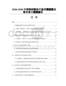 2026-2030中國橡膠輪胎行業(yè)消費趨勢及需求潛力預(yù)測報告