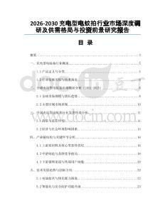 2026-2030充電型電蚊拍行業(yè)市場深度調(diào)研及供需格局與投資前景研究報告