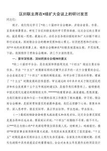 區(qū)婦聯(lián)主席在黨組擴(kuò)大會(huì)議上的研討發(fā)言