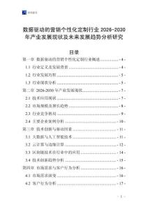 數(shù)據(jù)驅動的營銷個性化定制行業(yè)2026-2030年產(chǎn)業(yè)發(fā)展現(xiàn)狀及未來發(fā)展趨勢分析研究