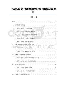 2026-2030飛機(jī)檢測(cè)產(chǎn)業(yè)規(guī)劃專(zhuān)項(xiàng)研究報(bào)告