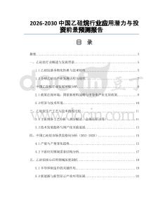 2026-2030中國乙硅烷行業(yè)應(yīng)用潛力與投資前景預(yù)測報(bào)告