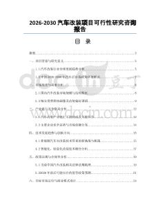 2026-2030汽車(chē)改裝項(xiàng)目可行性研究咨詢(xún)報(bào)告