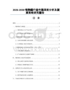 2026-2030慢熱鍋行業市場深度分析及發展策略研究報告