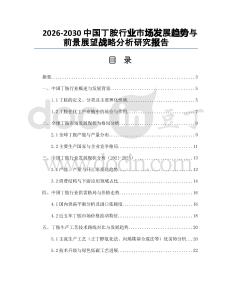 2026-2030中國丁胺行業(yè)市場發(fā)展趨勢與前景展望戰(zhàn)略分析研究報告