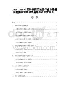 2026-2030中國(guó)靜脈照明裝置行業(yè)市場(chǎng)發(fā)展趨勢(shì)與前景展望戰(zhàn)略分析研究報(bào)告