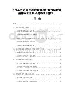 2026-2030中國(guó)副產(chǎn)物鹽酸行業(yè)市場(chǎng)發(fā)展趨勢(shì)與前景展望戰(zhàn)略研究報(bào)告
