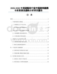 2026-2030中國訓(xùn)練鞋行業(yè)市場發(fā)展趨勢與前景展望戰(zhàn)略分析研究報告