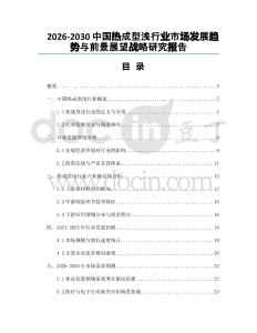 2026-2030中國熱成型淺行業市場發展趨勢與前景展望戰略研究報告