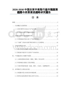 2026-2030中國衣架手推車行業(yè)市場發(fā)展趨勢與前景展望戰(zhàn)略研究報告