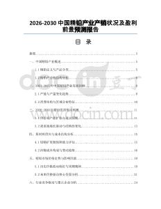 2026-2030中國精鉛產(chǎn)業(yè)產(chǎn)銷狀況及盈利前景預(yù)測報告