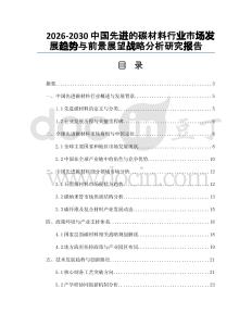2026-2030中國先進的碳材料行業(yè)市場發(fā)展趨勢與前景展望戰(zhàn)略分析研究報告