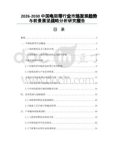 2026-2030中國電阻帶行業(yè)市場發(fā)展趨勢與前景展望戰(zhàn)略分析研究報告