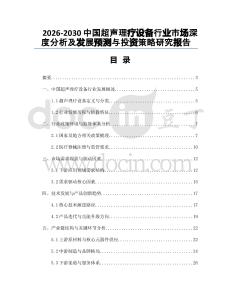 2026-2030中國(guó)超聲理療設(shè)備行業(yè)市場(chǎng)深度分析及發(fā)展預(yù)測(cè)與投資策略研究報(bào)告