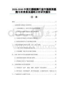 2026-2030中國無損檢測行業(yè)市場發(fā)展趨勢與前景展望戰(zhàn)略分析研究報(bào)告