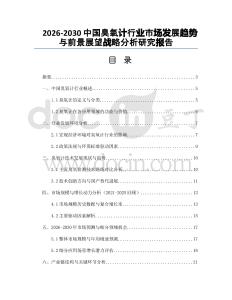 2026-2030中國臭氧計(jì)行業(yè)市場發(fā)展趨勢與前景展望戰(zhàn)略分析研究報(bào)告