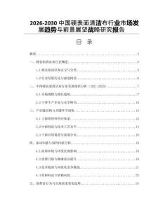 2026-2030中國硬表面清潔布行業(yè)市場發(fā)展趨勢與前景展望戰(zhàn)略研究報告