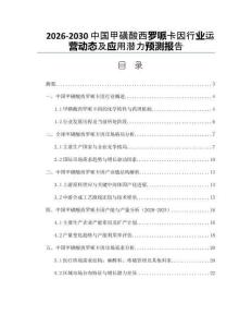 2026-2030中國甲磺酸西羅哌卡因行業(yè)運(yùn)營動(dòng)態(tài)及應(yīng)用潛力預(yù)測(cè)報(bào)告