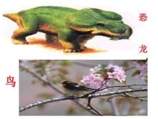 最終變成了凌空翱翔的鳥兒