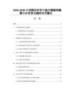 2026-2030中國熱脫附管行業市場發展趨勢與前景展望戰略研究報告
