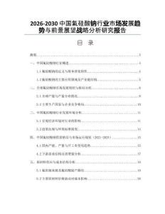 2026-2030中國氟硅酸鈉行業(yè)市場發(fā)展趨勢與前景展望戰(zhàn)略分析研究報告