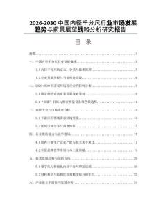 2026-2030中國內(nèi)徑千分尺行業(yè)市場發(fā)展趨勢與前景展望戰(zhàn)略分析研究報告