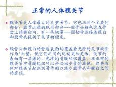 人工髖關節置換術