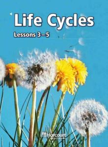 [Harcourt 科學(xué)]G2.Life Cycles 2