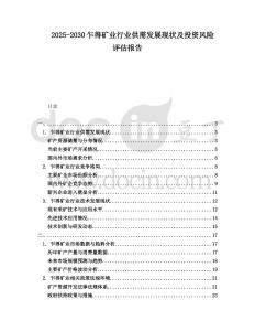 2025-2030乍得礦業(yè)行業(yè)供需發(fā)展現(xiàn)狀及投資風(fēng)險評估報告