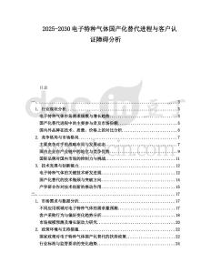 2025-2030电子特种气体国产化替代进程与客户认证障碍分析