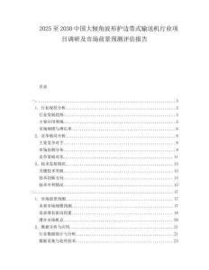 2025至2030中國大傾角波形護邊帶式輸送機行業項目調研及市場前景預測評估報告
