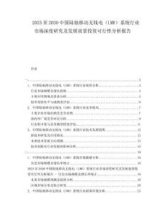 2025至2030中國陸地移動無線電（LMR）系統行業市場深度研究及發展前景投資可行性分析報告
