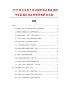 2025年及未來5年中國熱粘合非織造布市場數據分析及競爭策略研究報告