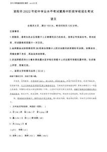 精品解析：2022年四川省資陽市中考語文試題（解析版）