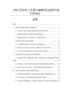 2025及未來5年漂白啫喱項目投資價值分析報告