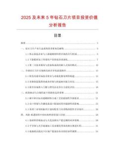 2025及未來5年鉆石刀片項目投資價值分析報告