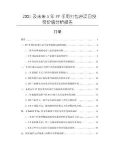 2025及未來5年PP手用打包帶項目投資價值分析報告