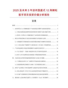 2025及未來5年封閉型直式12角棘輪扳手項(xiàng)目投資價(jià)值分析報(bào)告