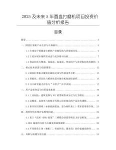 2025及未來5年圓盤打磨機項目投資價值分析報告